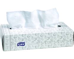2Ply Facial Tissue 100 30/Cs 2P1959
