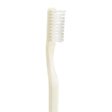 Adult Toothbrush 144/Cs